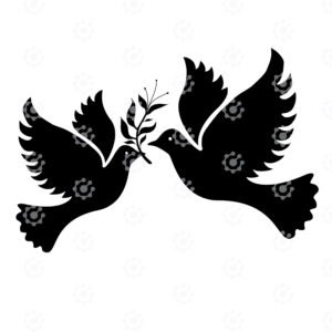 Pair Of Flying Dove