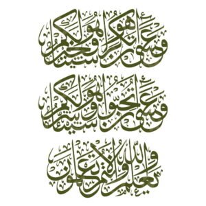 Surah Al Baqara Ayah 216