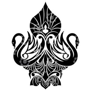 Swan Illustrations