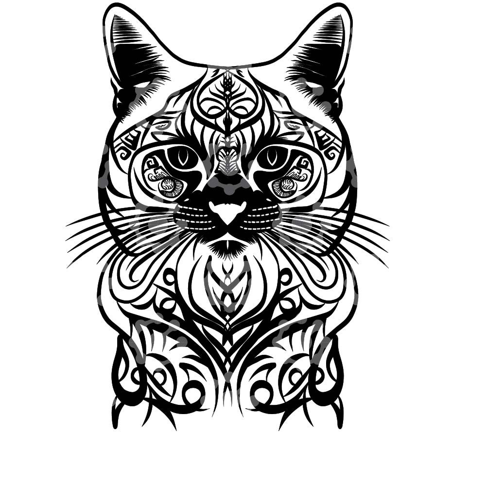 Cat Pet Blue Eyes - Image 3