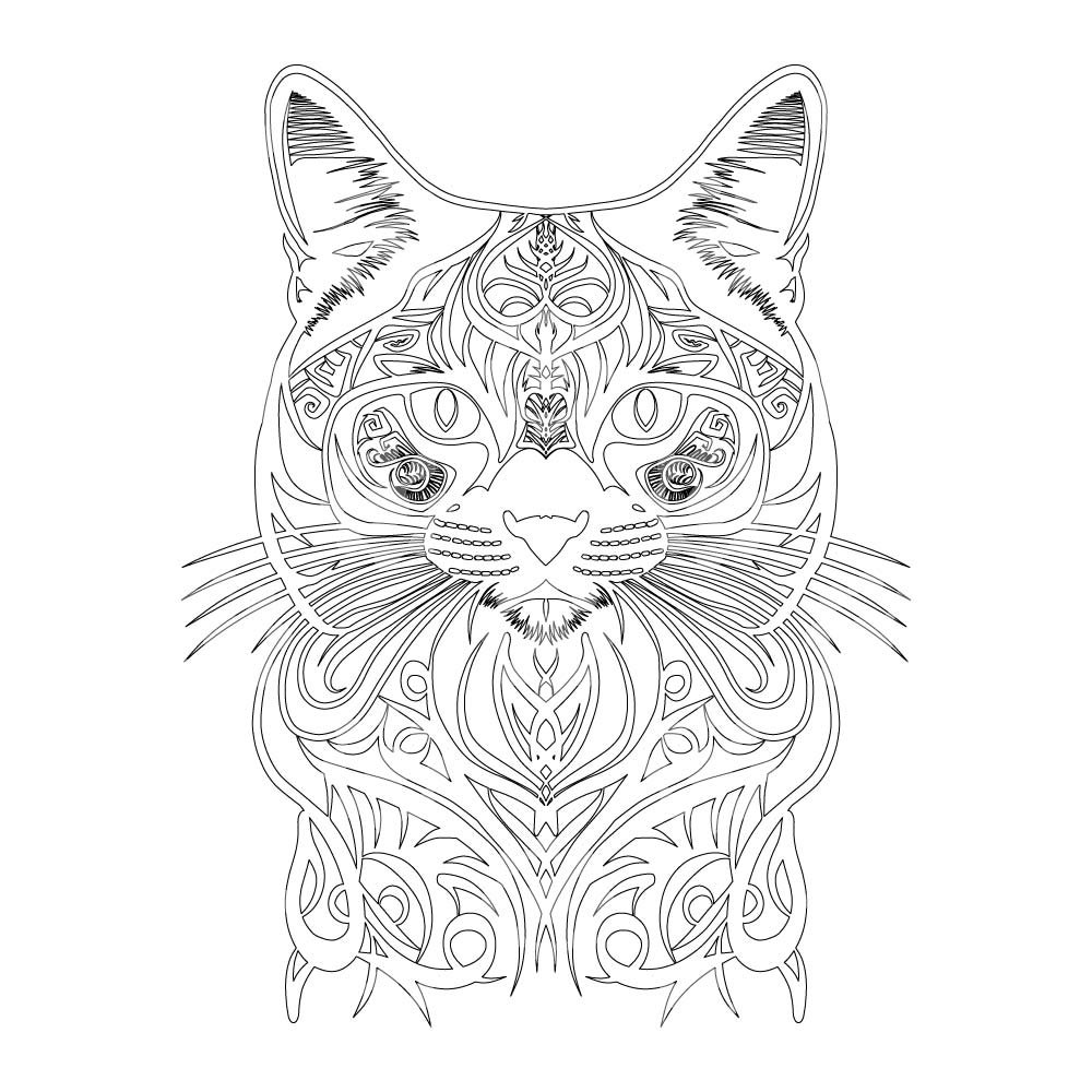 Cat Pet Blue Eyes - Image 6