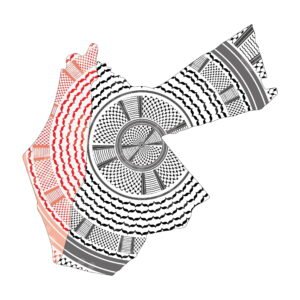 Unique Map Art: Palestine and Jordan in Keffiyeh Colors